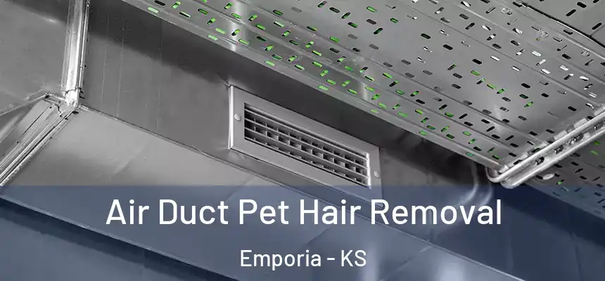  Air Duct Pet Hair Removal Emporia - KS