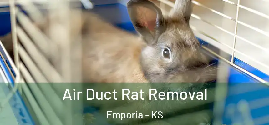 Air Duct Rat Removal Emporia - KS
