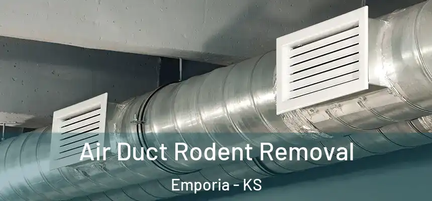 Air Duct Rodent Removal Emporia - KS