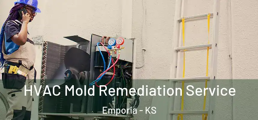 HVAC Mold Remediation Service Emporia - KS