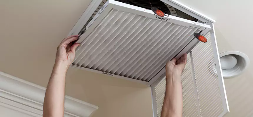 Preventive Cockroach-Proofing for Ducts in Emporia