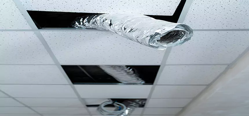 Our Air Duct Pet Hair Removal Services in Emporia, KS