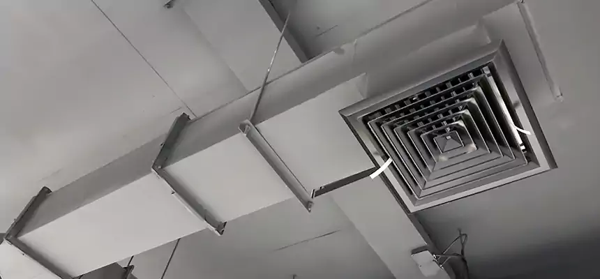 Our Rodent Droppings In Vents Services in Emporia, KS