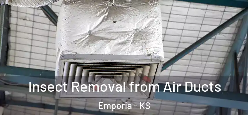  Insect Removal from Air Ducts Emporia - KS