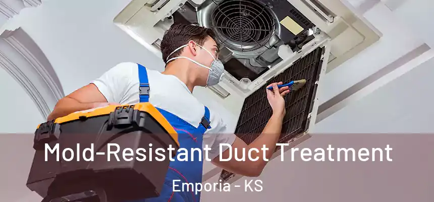  Mold-Resistant Duct Treatment Emporia - KS