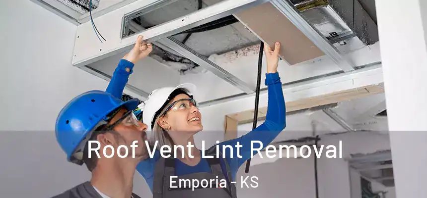 Roof Vent Lint Removal Emporia - KS