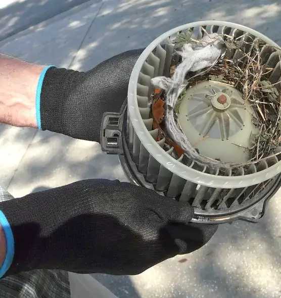 About Air Duct Mice Removal in Emporia, KS