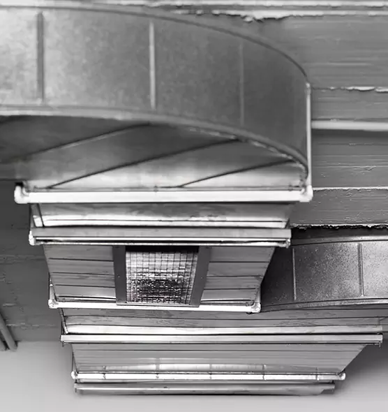 Professional Air Duct Pet Hair Removal in Emporia, KS