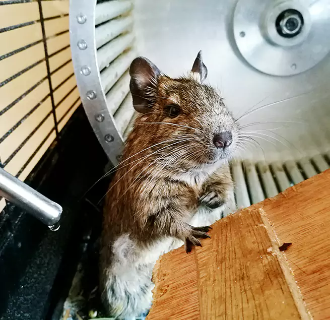 Why Homeowners & Businesses Trust Us Emporia, KS